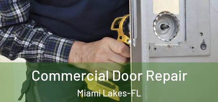  Commercial Door Repair Miami Lakes-FL