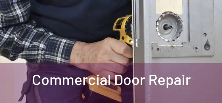 Commercial Door Repair