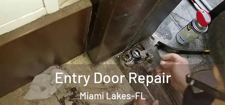 Entry Door Repair Miami Lakes-FL