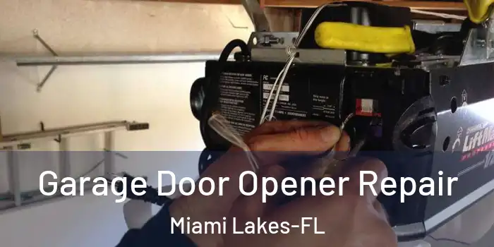  Garage Door Opener Repair Miami Lakes-FL